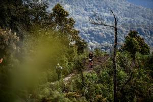 BIB: 
                            <button type="button" onclick="openModal(19369194)" class="btn btn-primary btn-sm float-right btn-popup" data-toggle="modal" data-target=".modal-high-quality">
                        <i class="fas fa-shopping-cart"></i> Add to Cart
                    </button>
                                            <button type="button" onclick="isThisMe(19369194, true)" class="btn btn-success btn-sm float-right btn-popup btn-isme hidden" data-toggle="tooltip" data-placement="bottom" title="นี่คือรูปของคุณใช่ไหม คลิกที่นี่เพื่อเอาเข้าอัลบั้ม">
                        <i class="fas fa-plus"></i> Add to album
                    </button>
                    <button type="button" onclick="isThisMe(19369194, false)" class="btn btn-warning btn-sm float-right btn-popup btn-isnotme hidden">
                        <i class="fas fa-ban"></i> Remove from album
                    </button>