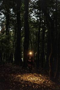 BIB: 
                            <button type="button" onclick="openModal(19367649)" class="btn btn-primary btn-sm float-right btn-popup" data-toggle="modal" data-target=".modal-high-quality">
                        <i class="fas fa-shopping-cart"></i> Add to Cart
                    </button>
                                            <button type="button" onclick="isThisMe(19367649, true)" class="btn btn-success btn-sm float-right btn-popup btn-isme hidden" data-toggle="tooltip" data-placement="bottom" title="นี่คือรูปของคุณใช่ไหม คลิกที่นี่เพื่อเอาเข้าอัลบั้ม">
                        <i class="fas fa-plus"></i> Add to album
                    </button>
                    <button type="button" onclick="isThisMe(19367649, false)" class="btn btn-warning btn-sm float-right btn-popup btn-isnotme hidden">
                        <i class="fas fa-ban"></i> Remove from album
                    </button>