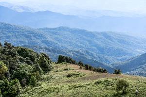 BIB: 
                            <button type="button" onclick="openModal(19369232)" class="btn btn-primary btn-sm float-right btn-popup" data-toggle="modal" data-target=".modal-high-quality">
                        <i class="fas fa-shopping-cart"></i> Add to Cart
                    </button>
                                            <button type="button" onclick="isThisMe(19369232, true)" class="btn btn-success btn-sm float-right btn-popup btn-isme hidden" data-toggle="tooltip" data-placement="bottom" title="นี่คือรูปของคุณใช่ไหม คลิกที่นี่เพื่อเอาเข้าอัลบั้ม">
                        <i class="fas fa-plus"></i> Add to album
                    </button>
                    <button type="button" onclick="isThisMe(19369232, false)" class="btn btn-warning btn-sm float-right btn-popup btn-isnotme hidden">
                        <i class="fas fa-ban"></i> Remove from album
                    </button>