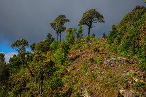 BIB: 
                            <button type="button" onclick="openModal(19368576)" class="btn btn-primary btn-sm float-right btn-popup" data-toggle="modal" data-target=".modal-high-quality">
                        <i class="fas fa-shopping-cart"></i> Add to Cart
                    </button>
                                            <button type="button" onclick="isThisMe(19368576, true)" class="btn btn-success btn-sm float-right btn-popup btn-isme hidden" data-toggle="tooltip" data-placement="bottom" title="นี่คือรูปของคุณใช่ไหม คลิกที่นี่เพื่อเอาเข้าอัลบั้ม">
                        <i class="fas fa-plus"></i> Add to album
                    </button>
                    <button type="button" onclick="isThisMe(19368576, false)" class="btn btn-warning btn-sm float-right btn-popup btn-isnotme hidden">
                        <i class="fas fa-ban"></i> Remove from album
                    </button>