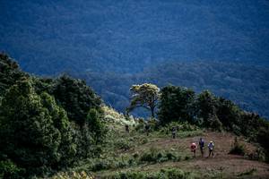 BIB: 
                            <button type="button" onclick="openModal(19369239)" class="btn btn-primary btn-sm float-right btn-popup" data-toggle="modal" data-target=".modal-high-quality">
                        <i class="fas fa-shopping-cart"></i> Add to Cart
                    </button>
                                            <button type="button" onclick="isThisMe(19369239, true)" class="btn btn-success btn-sm float-right btn-popup btn-isme hidden" data-toggle="tooltip" data-placement="bottom" title="นี่คือรูปของคุณใช่ไหม คลิกที่นี่เพื่อเอาเข้าอัลบั้ม">
                        <i class="fas fa-plus"></i> Add to album
                    </button>
                    <button type="button" onclick="isThisMe(19369239, false)" class="btn btn-warning btn-sm float-right btn-popup btn-isnotme hidden">
                        <i class="fas fa-ban"></i> Remove from album
                    </button>