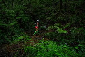 BIB: 
                            <button type="button" onclick="openModal(19368714)" class="btn btn-primary btn-sm float-right btn-popup" data-toggle="modal" data-target=".modal-high-quality">
                        <i class="fas fa-shopping-cart"></i> Add to Cart
                    </button>
                                            <button type="button" onclick="isThisMe(19368714, true)" class="btn btn-success btn-sm float-right btn-popup btn-isme hidden" data-toggle="tooltip" data-placement="bottom" title="นี่คือรูปของคุณใช่ไหม คลิกที่นี่เพื่อเอาเข้าอัลบั้ม">
                        <i class="fas fa-plus"></i> Add to album
                    </button>
                    <button type="button" onclick="isThisMe(19368714, false)" class="btn btn-warning btn-sm float-right btn-popup btn-isnotme hidden">
                        <i class="fas fa-ban"></i> Remove from album
                    </button>