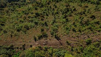 BIB: 
                            <button type="button" onclick="openModal(19367715)" class="btn btn-primary btn-sm float-right btn-popup" data-toggle="modal" data-target=".modal-high-quality">
                        <i class="fas fa-shopping-cart"></i> Add to Cart
                    </button>
                                            <button type="button" onclick="isThisMe(19367715, true)" class="btn btn-success btn-sm float-right btn-popup btn-isme hidden" data-toggle="tooltip" data-placement="bottom" title="นี่คือรูปของคุณใช่ไหม คลิกที่นี่เพื่อเอาเข้าอัลบั้ม">
                        <i class="fas fa-plus"></i> Add to album
                    </button>
                    <button type="button" onclick="isThisMe(19367715, false)" class="btn btn-warning btn-sm float-right btn-popup btn-isnotme hidden">
                        <i class="fas fa-ban"></i> Remove from album
                    </button>