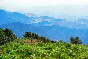 BIB: 
                            <button type="button" onclick="openModal(19368633)" class="btn btn-primary btn-sm float-right btn-popup" data-toggle="modal" data-target=".modal-high-quality">
                        <i class="fas fa-shopping-cart"></i> Add to Cart
                    </button>
                                            <button type="button" onclick="isThisMe(19368633, true)" class="btn btn-success btn-sm float-right btn-popup btn-isme hidden" data-toggle="tooltip" data-placement="bottom" title="นี่คือรูปของคุณใช่ไหม คลิกที่นี่เพื่อเอาเข้าอัลบั้ม">
                        <i class="fas fa-plus"></i> Add to album
                    </button>
                    <button type="button" onclick="isThisMe(19368633, false)" class="btn btn-warning btn-sm float-right btn-popup btn-isnotme hidden">
                        <i class="fas fa-ban"></i> Remove from album
                    </button>