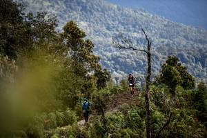 BIB: 
                            <button type="button" onclick="openModal(19369193)" class="btn btn-primary btn-sm float-right btn-popup" data-toggle="modal" data-target=".modal-high-quality">
                        <i class="fas fa-shopping-cart"></i> Add to Cart
                    </button>
                                            <button type="button" onclick="isThisMe(19369193, true)" class="btn btn-success btn-sm float-right btn-popup btn-isme hidden" data-toggle="tooltip" data-placement="bottom" title="นี่คือรูปของคุณใช่ไหม คลิกที่นี่เพื่อเอาเข้าอัลบั้ม">
                        <i class="fas fa-plus"></i> Add to album
                    </button>
                    <button type="button" onclick="isThisMe(19369193, false)" class="btn btn-warning btn-sm float-right btn-popup btn-isnotme hidden">
                        <i class="fas fa-ban"></i> Remove from album
                    </button>