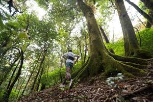 BIB: 
                            <button type="button" onclick="openModal(19367485)" class="btn btn-primary btn-sm float-right btn-popup" data-toggle="modal" data-target=".modal-high-quality">
                        <i class="fas fa-shopping-cart"></i> Add to Cart
                    </button>
                                            <button type="button" onclick="isThisMe(19367485, true)" class="btn btn-success btn-sm float-right btn-popup btn-isme hidden" data-toggle="tooltip" data-placement="bottom" title="นี่คือรูปของคุณใช่ไหม คลิกที่นี่เพื่อเอาเข้าอัลบั้ม">
                        <i class="fas fa-plus"></i> Add to album
                    </button>
                    <button type="button" onclick="isThisMe(19367485, false)" class="btn btn-warning btn-sm float-right btn-popup btn-isnotme hidden">
                        <i class="fas fa-ban"></i> Remove from album
                    </button>