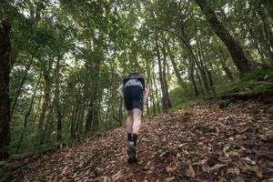 BIB: 
                            <button type="button" onclick="openModal(19367496)" class="btn btn-primary btn-sm float-right btn-popup" data-toggle="modal" data-target=".modal-high-quality">
                        <i class="fas fa-shopping-cart"></i> Add to Cart
                    </button>
                                            <button type="button" onclick="isThisMe(19367496, true)" class="btn btn-success btn-sm float-right btn-popup btn-isme hidden" data-toggle="tooltip" data-placement="bottom" title="นี่คือรูปของคุณใช่ไหม คลิกที่นี่เพื่อเอาเข้าอัลบั้ม">
                        <i class="fas fa-plus"></i> Add to album
                    </button>
                    <button type="button" onclick="isThisMe(19367496, false)" class="btn btn-warning btn-sm float-right btn-popup btn-isnotme hidden">
                        <i class="fas fa-ban"></i> Remove from album
                    </button>