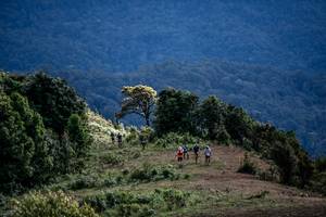 BIB: 
                            <button type="button" onclick="openModal(19369236)" class="btn btn-primary btn-sm float-right btn-popup" data-toggle="modal" data-target=".modal-high-quality">
                        <i class="fas fa-shopping-cart"></i> Add to Cart
                    </button>
                                            <button type="button" onclick="isThisMe(19369236, true)" class="btn btn-success btn-sm float-right btn-popup btn-isme hidden" data-toggle="tooltip" data-placement="bottom" title="นี่คือรูปของคุณใช่ไหม คลิกที่นี่เพื่อเอาเข้าอัลบั้ม">
                        <i class="fas fa-plus"></i> Add to album
                    </button>
                    <button type="button" onclick="isThisMe(19369236, false)" class="btn btn-warning btn-sm float-right btn-popup btn-isnotme hidden">
                        <i class="fas fa-ban"></i> Remove from album
                    </button>