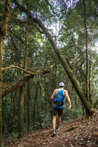 BIB: 
                            <button type="button" onclick="openModal(19367614)" class="btn btn-primary btn-sm float-right btn-popup" data-toggle="modal" data-target=".modal-high-quality">
                        <i class="fas fa-shopping-cart"></i> Add to Cart
                    </button>
                                            <button type="button" onclick="isThisMe(19367614, true)" class="btn btn-success btn-sm float-right btn-popup btn-isme hidden" data-toggle="tooltip" data-placement="bottom" title="นี่คือรูปของคุณใช่ไหม คลิกที่นี่เพื่อเอาเข้าอัลบั้ม">
                        <i class="fas fa-plus"></i> Add to album
                    </button>
                    <button type="button" onclick="isThisMe(19367614, false)" class="btn btn-warning btn-sm float-right btn-popup btn-isnotme hidden">
                        <i class="fas fa-ban"></i> Remove from album
                    </button>