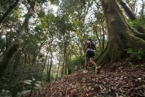 BIB: 
                            <button type="button" onclick="openModal(19367488)" class="btn btn-primary btn-sm float-right btn-popup" data-toggle="modal" data-target=".modal-high-quality">
                        <i class="fas fa-shopping-cart"></i> Add to Cart
                    </button>
                                            <button type="button" onclick="isThisMe(19367488, true)" class="btn btn-success btn-sm float-right btn-popup btn-isme hidden" data-toggle="tooltip" data-placement="bottom" title="นี่คือรูปของคุณใช่ไหม คลิกที่นี่เพื่อเอาเข้าอัลบั้ม">
                        <i class="fas fa-plus"></i> Add to album
                    </button>
                    <button type="button" onclick="isThisMe(19367488, false)" class="btn btn-warning btn-sm float-right btn-popup btn-isnotme hidden">
                        <i class="fas fa-ban"></i> Remove from album
                    </button>