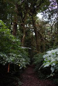 BIB: 
                            <button type="button" onclick="openModal(19367619)" class="btn btn-primary btn-sm float-right btn-popup" data-toggle="modal" data-target=".modal-high-quality">
                        <i class="fas fa-shopping-cart"></i> Add to Cart
                    </button>
                                            <button type="button" onclick="isThisMe(19367619, true)" class="btn btn-success btn-sm float-right btn-popup btn-isme hidden" data-toggle="tooltip" data-placement="bottom" title="นี่คือรูปของคุณใช่ไหม คลิกที่นี่เพื่อเอาเข้าอัลบั้ม">
                        <i class="fas fa-plus"></i> Add to album
                    </button>
                    <button type="button" onclick="isThisMe(19367619, false)" class="btn btn-warning btn-sm float-right btn-popup btn-isnotme hidden">
                        <i class="fas fa-ban"></i> Remove from album
                    </button>