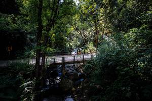 BIB: 
                            <button type="button" onclick="openModal(19367963)" class="btn btn-primary btn-sm float-right btn-popup" data-toggle="modal" data-target=".modal-high-quality">
                        <i class="fas fa-shopping-cart"></i> Add to Cart
                    </button>
                                            <button type="button" onclick="isThisMe(19367963, true)" class="btn btn-success btn-sm float-right btn-popup btn-isme hidden" data-toggle="tooltip" data-placement="bottom" title="นี่คือรูปของคุณใช่ไหม คลิกที่นี่เพื่อเอาเข้าอัลบั้ม">
                        <i class="fas fa-plus"></i> Add to album
                    </button>
                    <button type="button" onclick="isThisMe(19367963, false)" class="btn btn-warning btn-sm float-right btn-popup btn-isnotme hidden">
                        <i class="fas fa-ban"></i> Remove from album
                    </button>