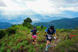 BIB: 
                            <button type="button" onclick="openModal(19368682)" class="btn btn-primary btn-sm float-right btn-popup" data-toggle="modal" data-target=".modal-high-quality">
                        <i class="fas fa-shopping-cart"></i> Add to Cart
                    </button>
                                            <button type="button" onclick="isThisMe(19368682, true)" class="btn btn-success btn-sm float-right btn-popup btn-isme hidden" data-toggle="tooltip" data-placement="bottom" title="นี่คือรูปของคุณใช่ไหม คลิกที่นี่เพื่อเอาเข้าอัลบั้ม">
                        <i class="fas fa-plus"></i> Add to album
                    </button>
                    <button type="button" onclick="isThisMe(19368682, false)" class="btn btn-warning btn-sm float-right btn-popup btn-isnotme hidden">
                        <i class="fas fa-ban"></i> Remove from album
                    </button>