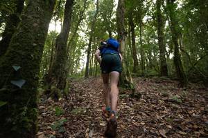 BIB: 
                            <button type="button" onclick="openModal(19367493)" class="btn btn-primary btn-sm float-right btn-popup" data-toggle="modal" data-target=".modal-high-quality">
                        <i class="fas fa-shopping-cart"></i> Add to Cart
                    </button>
                                            <button type="button" onclick="isThisMe(19367493, true)" class="btn btn-success btn-sm float-right btn-popup btn-isme hidden" data-toggle="tooltip" data-placement="bottom" title="นี่คือรูปของคุณใช่ไหม คลิกที่นี่เพื่อเอาเข้าอัลบั้ม">
                        <i class="fas fa-plus"></i> Add to album
                    </button>
                    <button type="button" onclick="isThisMe(19367493, false)" class="btn btn-warning btn-sm float-right btn-popup btn-isnotme hidden">
                        <i class="fas fa-ban"></i> Remove from album
                    </button>