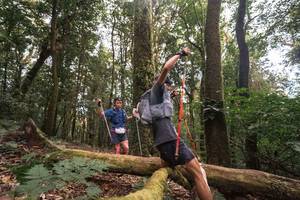 BIB: 
                            <button type="button" onclick="openModal(19367507)" class="btn btn-primary btn-sm float-right btn-popup" data-toggle="modal" data-target=".modal-high-quality">
                        <i class="fas fa-shopping-cart"></i> Add to Cart
                    </button>
                                            <button type="button" onclick="isThisMe(19367507, true)" class="btn btn-success btn-sm float-right btn-popup btn-isme hidden" data-toggle="tooltip" data-placement="bottom" title="นี่คือรูปของคุณใช่ไหม คลิกที่นี่เพื่อเอาเข้าอัลบั้ม">
                        <i class="fas fa-plus"></i> Add to album
                    </button>
                    <button type="button" onclick="isThisMe(19367507, false)" class="btn btn-warning btn-sm float-right btn-popup btn-isnotme hidden">
                        <i class="fas fa-ban"></i> Remove from album
                    </button>