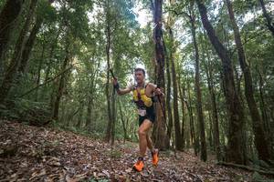 BIB: 
                            <button type="button" onclick="openModal(19367499)" class="btn btn-primary btn-sm float-right btn-popup" data-toggle="modal" data-target=".modal-high-quality">
                        <i class="fas fa-shopping-cart"></i> Add to Cart
                    </button>
                                            <button type="button" onclick="isThisMe(19367499, true)" class="btn btn-success btn-sm float-right btn-popup btn-isme hidden" data-toggle="tooltip" data-placement="bottom" title="นี่คือรูปของคุณใช่ไหม คลิกที่นี่เพื่อเอาเข้าอัลบั้ม">
                        <i class="fas fa-plus"></i> Add to album
                    </button>
                    <button type="button" onclick="isThisMe(19367499, false)" class="btn btn-warning btn-sm float-right btn-popup btn-isnotme hidden">
                        <i class="fas fa-ban"></i> Remove from album
                    </button>