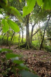 BIB: 
                            <button type="button" onclick="openModal(19367483)" class="btn btn-primary btn-sm float-right btn-popup" data-toggle="modal" data-target=".modal-high-quality">
                        <i class="fas fa-shopping-cart"></i> Add to Cart
                    </button>
                                            <button type="button" onclick="isThisMe(19367483, true)" class="btn btn-success btn-sm float-right btn-popup btn-isme hidden" data-toggle="tooltip" data-placement="bottom" title="นี่คือรูปของคุณใช่ไหม คลิกที่นี่เพื่อเอาเข้าอัลบั้ม">
                        <i class="fas fa-plus"></i> Add to album
                    </button>
                    <button type="button" onclick="isThisMe(19367483, false)" class="btn btn-warning btn-sm float-right btn-popup btn-isnotme hidden">
                        <i class="fas fa-ban"></i> Remove from album
                    </button>