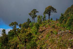 BIB: 
                            <button type="button" onclick="openModal(19368575)" class="btn btn-primary btn-sm float-right btn-popup" data-toggle="modal" data-target=".modal-high-quality">
                        <i class="fas fa-shopping-cart"></i> Add to Cart
                    </button>
                                            <button type="button" onclick="isThisMe(19368575, true)" class="btn btn-success btn-sm float-right btn-popup btn-isme hidden" data-toggle="tooltip" data-placement="bottom" title="นี่คือรูปของคุณใช่ไหม คลิกที่นี่เพื่อเอาเข้าอัลบั้ม">
                        <i class="fas fa-plus"></i> Add to album
                    </button>
                    <button type="button" onclick="isThisMe(19368575, false)" class="btn btn-warning btn-sm float-right btn-popup btn-isnotme hidden">
                        <i class="fas fa-ban"></i> Remove from album
                    </button>