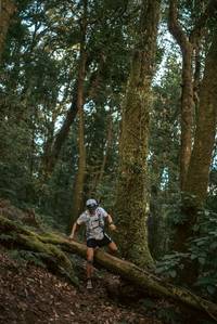 BIB: 
                            <button type="button" onclick="openModal(19367627)" class="btn btn-primary btn-sm float-right btn-popup" data-toggle="modal" data-target=".modal-high-quality">
                        <i class="fas fa-shopping-cart"></i> Add to Cart
                    </button>
                                            <button type="button" onclick="isThisMe(19367627, true)" class="btn btn-success btn-sm float-right btn-popup btn-isme hidden" data-toggle="tooltip" data-placement="bottom" title="นี่คือรูปของคุณใช่ไหม คลิกที่นี่เพื่อเอาเข้าอัลบั้ม">
                        <i class="fas fa-plus"></i> Add to album
                    </button>
                    <button type="button" onclick="isThisMe(19367627, false)" class="btn btn-warning btn-sm float-right btn-popup btn-isnotme hidden">
                        <i class="fas fa-ban"></i> Remove from album
                    </button>