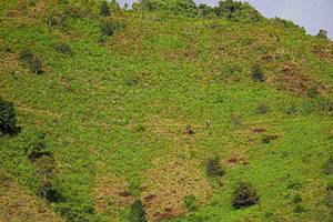 BIB: 
                            <button type="button" onclick="openModal(19368611)" class="btn btn-primary btn-sm float-right btn-popup" data-toggle="modal" data-target=".modal-high-quality">
                        <i class="fas fa-shopping-cart"></i> Add to Cart
                    </button>
                                            <button type="button" onclick="isThisMe(19368611, true)" class="btn btn-success btn-sm float-right btn-popup btn-isme hidden" data-toggle="tooltip" data-placement="bottom" title="นี่คือรูปของคุณใช่ไหม คลิกที่นี่เพื่อเอาเข้าอัลบั้ม">
                        <i class="fas fa-plus"></i> Add to album
                    </button>
                    <button type="button" onclick="isThisMe(19368611, false)" class="btn btn-warning btn-sm float-right btn-popup btn-isnotme hidden">
                        <i class="fas fa-ban"></i> Remove from album
                    </button>