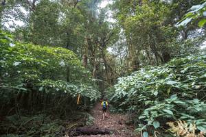 BIB: 
                            <button type="button" onclick="openModal(19367482)" class="btn btn-primary btn-sm float-right btn-popup" data-toggle="modal" data-target=".modal-high-quality">
                        <i class="fas fa-shopping-cart"></i> Add to Cart
                    </button>
                                            <button type="button" onclick="isThisMe(19367482, true)" class="btn btn-success btn-sm float-right btn-popup btn-isme hidden" data-toggle="tooltip" data-placement="bottom" title="นี่คือรูปของคุณใช่ไหม คลิกที่นี่เพื่อเอาเข้าอัลบั้ม">
                        <i class="fas fa-plus"></i> Add to album
                    </button>
                    <button type="button" onclick="isThisMe(19367482, false)" class="btn btn-warning btn-sm float-right btn-popup btn-isnotme hidden">
                        <i class="fas fa-ban"></i> Remove from album
                    </button>