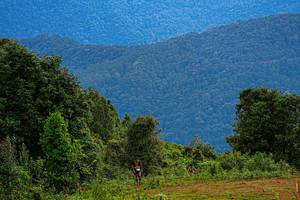 BIB: 
                            <button type="button" onclick="openModal(19368629)" class="btn btn-primary btn-sm float-right btn-popup" data-toggle="modal" data-target=".modal-high-quality">
                        <i class="fas fa-shopping-cart"></i> Add to Cart
                    </button>
                                            <button type="button" onclick="isThisMe(19368629, true)" class="btn btn-success btn-sm float-right btn-popup btn-isme hidden" data-toggle="tooltip" data-placement="bottom" title="นี่คือรูปของคุณใช่ไหม คลิกที่นี่เพื่อเอาเข้าอัลบั้ม">
                        <i class="fas fa-plus"></i> Add to album
                    </button>
                    <button type="button" onclick="isThisMe(19368629, false)" class="btn btn-warning btn-sm float-right btn-popup btn-isnotme hidden">
                        <i class="fas fa-ban"></i> Remove from album
                    </button>