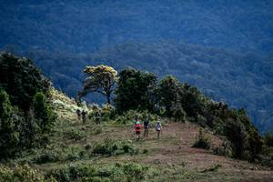 BIB: 
                            <button type="button" onclick="openModal(19369235)" class="btn btn-primary btn-sm float-right btn-popup" data-toggle="modal" data-target=".modal-high-quality">
                        <i class="fas fa-shopping-cart"></i> Add to Cart
                    </button>
                                            <button type="button" onclick="isThisMe(19369235, true)" class="btn btn-success btn-sm float-right btn-popup btn-isme hidden" data-toggle="tooltip" data-placement="bottom" title="นี่คือรูปของคุณใช่ไหม คลิกที่นี่เพื่อเอาเข้าอัลบั้ม">
                        <i class="fas fa-plus"></i> Add to album
                    </button>
                    <button type="button" onclick="isThisMe(19369235, false)" class="btn btn-warning btn-sm float-right btn-popup btn-isnotme hidden">
                        <i class="fas fa-ban"></i> Remove from album
                    </button>