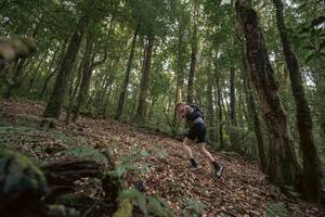 BIB: 
                            <button type="button" onclick="openModal(19367494)" class="btn btn-primary btn-sm float-right btn-popup" data-toggle="modal" data-target=".modal-high-quality">
                        <i class="fas fa-shopping-cart"></i> Add to Cart
                    </button>
                                            <button type="button" onclick="isThisMe(19367494, true)" class="btn btn-success btn-sm float-right btn-popup btn-isme hidden" data-toggle="tooltip" data-placement="bottom" title="นี่คือรูปของคุณใช่ไหม คลิกที่นี่เพื่อเอาเข้าอัลบั้ม">
                        <i class="fas fa-plus"></i> Add to album
                    </button>
                    <button type="button" onclick="isThisMe(19367494, false)" class="btn btn-warning btn-sm float-right btn-popup btn-isnotme hidden">
                        <i class="fas fa-ban"></i> Remove from album
                    </button>