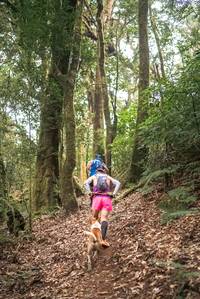 BIB: 
                            <button type="button" onclick="openModal(19367641)" class="btn btn-primary btn-sm float-right btn-popup" data-toggle="modal" data-target=".modal-high-quality">
                        <i class="fas fa-shopping-cart"></i> Add to Cart
                    </button>
                                            <button type="button" onclick="isThisMe(19367641, true)" class="btn btn-success btn-sm float-right btn-popup btn-isme hidden" data-toggle="tooltip" data-placement="bottom" title="นี่คือรูปของคุณใช่ไหม คลิกที่นี่เพื่อเอาเข้าอัลบั้ม">
                        <i class="fas fa-plus"></i> Add to album
                    </button>
                    <button type="button" onclick="isThisMe(19367641, false)" class="btn btn-warning btn-sm float-right btn-popup btn-isnotme hidden">
                        <i class="fas fa-ban"></i> Remove from album
                    </button>