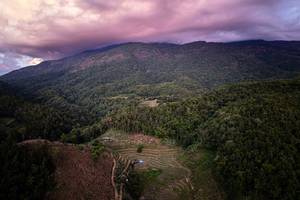 BIB: 
                            <button type="button" onclick="openModal(19367970)" class="btn btn-primary btn-sm float-right btn-popup" data-toggle="modal" data-target=".modal-high-quality">
                        <i class="fas fa-shopping-cart"></i> Add to Cart
                    </button>
                                            <button type="button" onclick="isThisMe(19367970, true)" class="btn btn-success btn-sm float-right btn-popup btn-isme hidden" data-toggle="tooltip" data-placement="bottom" title="นี่คือรูปของคุณใช่ไหม คลิกที่นี่เพื่อเอาเข้าอัลบั้ม">
                        <i class="fas fa-plus"></i> Add to album
                    </button>
                    <button type="button" onclick="isThisMe(19367970, false)" class="btn btn-warning btn-sm float-right btn-popup btn-isnotme hidden">
                        <i class="fas fa-ban"></i> Remove from album
                    </button>