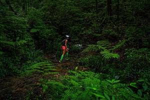 BIB: 
                            <button type="button" onclick="openModal(19368713)" class="btn btn-primary btn-sm float-right btn-popup" data-toggle="modal" data-target=".modal-high-quality">
                        <i class="fas fa-shopping-cart"></i> Add to Cart
                    </button>
                                            <button type="button" onclick="isThisMe(19368713, true)" class="btn btn-success btn-sm float-right btn-popup btn-isme hidden" data-toggle="tooltip" data-placement="bottom" title="นี่คือรูปของคุณใช่ไหม คลิกที่นี่เพื่อเอาเข้าอัลบั้ม">
                        <i class="fas fa-plus"></i> Add to album
                    </button>
                    <button type="button" onclick="isThisMe(19368713, false)" class="btn btn-warning btn-sm float-right btn-popup btn-isnotme hidden">
                        <i class="fas fa-ban"></i> Remove from album
                    </button>