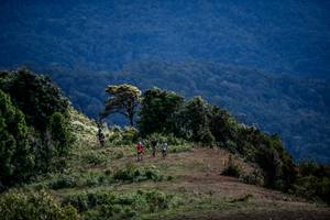 BIB: 
                            <button type="button" onclick="openModal(19369234)" class="btn btn-primary btn-sm float-right btn-popup" data-toggle="modal" data-target=".modal-high-quality">
                        <i class="fas fa-shopping-cart"></i> Add to Cart
                    </button>
                                            <button type="button" onclick="isThisMe(19369234, true)" class="btn btn-success btn-sm float-right btn-popup btn-isme hidden" data-toggle="tooltip" data-placement="bottom" title="นี่คือรูปของคุณใช่ไหม คลิกที่นี่เพื่อเอาเข้าอัลบั้ม">
                        <i class="fas fa-plus"></i> Add to album
                    </button>
                    <button type="button" onclick="isThisMe(19369234, false)" class="btn btn-warning btn-sm float-right btn-popup btn-isnotme hidden">
                        <i class="fas fa-ban"></i> Remove from album
                    </button>