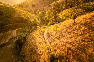 BIB: 
                            <button type="button" onclick="openModal(19367969)" class="btn btn-primary btn-sm float-right btn-popup" data-toggle="modal" data-target=".modal-high-quality">
                        <i class="fas fa-shopping-cart"></i> Add to Cart
                    </button>
                                            <button type="button" onclick="isThisMe(19367969, true)" class="btn btn-success btn-sm float-right btn-popup btn-isme hidden" data-toggle="tooltip" data-placement="bottom" title="นี่คือรูปของคุณใช่ไหม คลิกที่นี่เพื่อเอาเข้าอัลบั้ม">
                        <i class="fas fa-plus"></i> Add to album
                    </button>
                    <button type="button" onclick="isThisMe(19367969, false)" class="btn btn-warning btn-sm float-right btn-popup btn-isnotme hidden">
                        <i class="fas fa-ban"></i> Remove from album
                    </button>