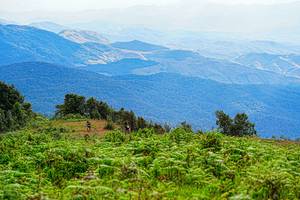 BIB: 
                            <button type="button" onclick="openModal(19368635)" class="btn btn-primary btn-sm float-right btn-popup" data-toggle="modal" data-target=".modal-high-quality">
                        <i class="fas fa-shopping-cart"></i> Add to Cart
                    </button>
                                            <button type="button" onclick="isThisMe(19368635, true)" class="btn btn-success btn-sm float-right btn-popup btn-isme hidden" data-toggle="tooltip" data-placement="bottom" title="นี่คือรูปของคุณใช่ไหม คลิกที่นี่เพื่อเอาเข้าอัลบั้ม">
                        <i class="fas fa-plus"></i> Add to album
                    </button>
                    <button type="button" onclick="isThisMe(19368635, false)" class="btn btn-warning btn-sm float-right btn-popup btn-isnotme hidden">
                        <i class="fas fa-ban"></i> Remove from album
                    </button>