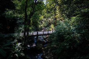 BIB: 
                            <button type="button" onclick="openModal(19367966)" class="btn btn-primary btn-sm float-right btn-popup" data-toggle="modal" data-target=".modal-high-quality">
                        <i class="fas fa-shopping-cart"></i> Add to Cart
                    </button>
                                            <button type="button" onclick="isThisMe(19367966, true)" class="btn btn-success btn-sm float-right btn-popup btn-isme hidden" data-toggle="tooltip" data-placement="bottom" title="นี่คือรูปของคุณใช่ไหม คลิกที่นี่เพื่อเอาเข้าอัลบั้ม">
                        <i class="fas fa-plus"></i> Add to album
                    </button>
                    <button type="button" onclick="isThisMe(19367966, false)" class="btn btn-warning btn-sm float-right btn-popup btn-isnotme hidden">
                        <i class="fas fa-ban"></i> Remove from album
                    </button>