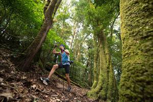 BIB: 
                            <button type="button" onclick="openModal(19367478)" class="btn btn-primary btn-sm float-right btn-popup" data-toggle="modal" data-target=".modal-high-quality">
                        <i class="fas fa-shopping-cart"></i> Add to Cart
                    </button>
                                            <button type="button" onclick="isThisMe(19367478, true)" class="btn btn-success btn-sm float-right btn-popup btn-isme hidden" data-toggle="tooltip" data-placement="bottom" title="นี่คือรูปของคุณใช่ไหม คลิกที่นี่เพื่อเอาเข้าอัลบั้ม">
                        <i class="fas fa-plus"></i> Add to album
                    </button>
                    <button type="button" onclick="isThisMe(19367478, false)" class="btn btn-warning btn-sm float-right btn-popup btn-isnotme hidden">
                        <i class="fas fa-ban"></i> Remove from album
                    </button>