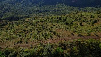 BIB: 
                            <button type="button" onclick="openModal(19367716)" class="btn btn-primary btn-sm float-right btn-popup" data-toggle="modal" data-target=".modal-high-quality">
                        <i class="fas fa-shopping-cart"></i> Add to Cart
                    </button>
                                            <button type="button" onclick="isThisMe(19367716, true)" class="btn btn-success btn-sm float-right btn-popup btn-isme hidden" data-toggle="tooltip" data-placement="bottom" title="นี่คือรูปของคุณใช่ไหม คลิกที่นี่เพื่อเอาเข้าอัลบั้ม">
                        <i class="fas fa-plus"></i> Add to album
                    </button>
                    <button type="button" onclick="isThisMe(19367716, false)" class="btn btn-warning btn-sm float-right btn-popup btn-isnotme hidden">
                        <i class="fas fa-ban"></i> Remove from album
                    </button>