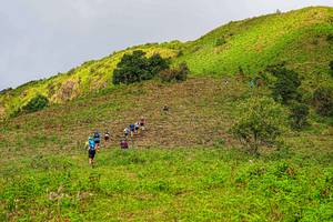 BIB: 
                            <button type="button" onclick="openModal(19368624)" class="btn btn-primary btn-sm float-right btn-popup" data-toggle="modal" data-target=".modal-high-quality">
                        <i class="fas fa-shopping-cart"></i> Add to Cart
                    </button>
                                            <button type="button" onclick="isThisMe(19368624, true)" class="btn btn-success btn-sm float-right btn-popup btn-isme hidden" data-toggle="tooltip" data-placement="bottom" title="นี่คือรูปของคุณใช่ไหม คลิกที่นี่เพื่อเอาเข้าอัลบั้ม">
                        <i class="fas fa-plus"></i> Add to album
                    </button>
                    <button type="button" onclick="isThisMe(19368624, false)" class="btn btn-warning btn-sm float-right btn-popup btn-isnotme hidden">
                        <i class="fas fa-ban"></i> Remove from album
                    </button>