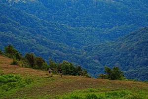 BIB: 
                            <button type="button" onclick="openModal(19368654)" class="btn btn-primary btn-sm float-right btn-popup" data-toggle="modal" data-target=".modal-high-quality">
                        <i class="fas fa-shopping-cart"></i> Add to Cart
                    </button>
                                            <button type="button" onclick="isThisMe(19368654, true)" class="btn btn-success btn-sm float-right btn-popup btn-isme hidden" data-toggle="tooltip" data-placement="bottom" title="นี่คือรูปของคุณใช่ไหม คลิกที่นี่เพื่อเอาเข้าอัลบั้ม">
                        <i class="fas fa-plus"></i> Add to album
                    </button>
                    <button type="button" onclick="isThisMe(19368654, false)" class="btn btn-warning btn-sm float-right btn-popup btn-isnotme hidden">
                        <i class="fas fa-ban"></i> Remove from album
                    </button>