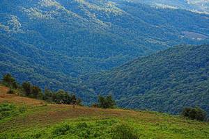 BIB: 
                            <button type="button" onclick="openModal(19368656)" class="btn btn-primary btn-sm float-right btn-popup" data-toggle="modal" data-target=".modal-high-quality">
                        <i class="fas fa-shopping-cart"></i> Add to Cart
                    </button>
                                            <button type="button" onclick="isThisMe(19368656, true)" class="btn btn-success btn-sm float-right btn-popup btn-isme hidden" data-toggle="tooltip" data-placement="bottom" title="นี่คือรูปของคุณใช่ไหม คลิกที่นี่เพื่อเอาเข้าอัลบั้ม">
                        <i class="fas fa-plus"></i> Add to album
                    </button>
                    <button type="button" onclick="isThisMe(19368656, false)" class="btn btn-warning btn-sm float-right btn-popup btn-isnotme hidden">
                        <i class="fas fa-ban"></i> Remove from album
                    </button>