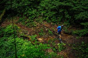 BIB: 
                            <button type="button" onclick="openModal(19368720)" class="btn btn-primary btn-sm float-right btn-popup" data-toggle="modal" data-target=".modal-high-quality">
                        <i class="fas fa-shopping-cart"></i> Add to Cart
                    </button>
                                            <button type="button" onclick="isThisMe(19368720, true)" class="btn btn-success btn-sm float-right btn-popup btn-isme hidden" data-toggle="tooltip" data-placement="bottom" title="นี่คือรูปของคุณใช่ไหม คลิกที่นี่เพื่อเอาเข้าอัลบั้ม">
                        <i class="fas fa-plus"></i> Add to album
                    </button>
                    <button type="button" onclick="isThisMe(19368720, false)" class="btn btn-warning btn-sm float-right btn-popup btn-isnotme hidden">
                        <i class="fas fa-ban"></i> Remove from album
                    </button>