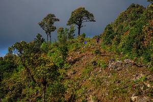 BIB: 
                            <button type="button" onclick="openModal(19368573)" class="btn btn-primary btn-sm float-right btn-popup" data-toggle="modal" data-target=".modal-high-quality">
                        <i class="fas fa-shopping-cart"></i> Add to Cart
                    </button>
                                            <button type="button" onclick="isThisMe(19368573, true)" class="btn btn-success btn-sm float-right btn-popup btn-isme hidden" data-toggle="tooltip" data-placement="bottom" title="นี่คือรูปของคุณใช่ไหม คลิกที่นี่เพื่อเอาเข้าอัลบั้ม">
                        <i class="fas fa-plus"></i> Add to album
                    </button>
                    <button type="button" onclick="isThisMe(19368573, false)" class="btn btn-warning btn-sm float-right btn-popup btn-isnotme hidden">
                        <i class="fas fa-ban"></i> Remove from album
                    </button>