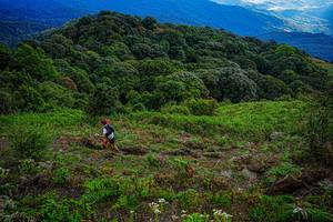 BIB: 
                            <button type="button" onclick="openModal(19368710)" class="btn btn-primary btn-sm float-right btn-popup" data-toggle="modal" data-target=".modal-high-quality">
                        <i class="fas fa-shopping-cart"></i> Add to Cart
                    </button>
                                            <button type="button" onclick="isThisMe(19368710, true)" class="btn btn-success btn-sm float-right btn-popup btn-isme hidden" data-toggle="tooltip" data-placement="bottom" title="นี่คือรูปของคุณใช่ไหม คลิกที่นี่เพื่อเอาเข้าอัลบั้ม">
                        <i class="fas fa-plus"></i> Add to album
                    </button>
                    <button type="button" onclick="isThisMe(19368710, false)" class="btn btn-warning btn-sm float-right btn-popup btn-isnotme hidden">
                        <i class="fas fa-ban"></i> Remove from album
                    </button>