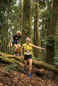 BIB: 104
                            <button type="button" onclick="openModal(19367637)" class="btn btn-primary btn-sm float-right btn-popup" data-toggle="modal" data-target=".modal-high-quality">
                        <i class="fas fa-shopping-cart"></i> Add to Cart
                    </button>
                                            <button type="button" onclick="isThisMe(19367637, true)" class="btn btn-success btn-sm float-right btn-popup btn-isme hidden" data-toggle="tooltip" data-placement="bottom" title="นี่คือรูปของคุณใช่ไหม คลิกที่นี่เพื่อเอาเข้าอัลบั้ม">
                        <i class="fas fa-plus"></i> Add to album
                    </button>
                    <button type="button" onclick="isThisMe(19367637, false)" class="btn btn-warning btn-sm float-right btn-popup btn-isnotme hidden">
                        <i class="fas fa-ban"></i> Remove from album
                    </button>