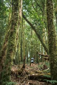 BIB: 
                            <button type="button" onclick="openModal(19367634)" class="btn btn-primary btn-sm float-right btn-popup" data-toggle="modal" data-target=".modal-high-quality">
                        <i class="fas fa-shopping-cart"></i> Add to Cart
                    </button>
                                            <button type="button" onclick="isThisMe(19367634, true)" class="btn btn-success btn-sm float-right btn-popup btn-isme hidden" data-toggle="tooltip" data-placement="bottom" title="นี่คือรูปของคุณใช่ไหม คลิกที่นี่เพื่อเอาเข้าอัลบั้ม">
                        <i class="fas fa-plus"></i> Add to album
                    </button>
                    <button type="button" onclick="isThisMe(19367634, false)" class="btn btn-warning btn-sm float-right btn-popup btn-isnotme hidden">
                        <i class="fas fa-ban"></i> Remove from album
                    </button>