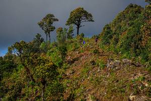 BIB: 
                            <button type="button" onclick="openModal(19368574)" class="btn btn-primary btn-sm float-right btn-popup" data-toggle="modal" data-target=".modal-high-quality">
                        <i class="fas fa-shopping-cart"></i> Add to Cart
                    </button>
                                            <button type="button" onclick="isThisMe(19368574, true)" class="btn btn-success btn-sm float-right btn-popup btn-isme hidden" data-toggle="tooltip" data-placement="bottom" title="นี่คือรูปของคุณใช่ไหม คลิกที่นี่เพื่อเอาเข้าอัลบั้ม">
                        <i class="fas fa-plus"></i> Add to album
                    </button>
                    <button type="button" onclick="isThisMe(19368574, false)" class="btn btn-warning btn-sm float-right btn-popup btn-isnotme hidden">
                        <i class="fas fa-ban"></i> Remove from album
                    </button>