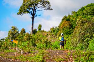 BIB: 
                            <button type="button" onclick="openModal(19368610)" class="btn btn-primary btn-sm float-right btn-popup" data-toggle="modal" data-target=".modal-high-quality">
                        <i class="fas fa-shopping-cart"></i> Add to Cart
                    </button>
                                            <button type="button" onclick="isThisMe(19368610, true)" class="btn btn-success btn-sm float-right btn-popup btn-isme hidden" data-toggle="tooltip" data-placement="bottom" title="นี่คือรูปของคุณใช่ไหม คลิกที่นี่เพื่อเอาเข้าอัลบั้ม">
                        <i class="fas fa-plus"></i> Add to album
                    </button>
                    <button type="button" onclick="isThisMe(19368610, false)" class="btn btn-warning btn-sm float-right btn-popup btn-isnotme hidden">
                        <i class="fas fa-ban"></i> Remove from album
                    </button>