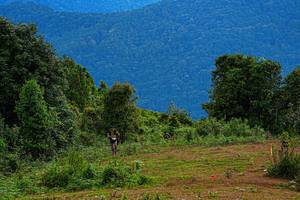 BIB: 
                            <button type="button" onclick="openModal(19368631)" class="btn btn-primary btn-sm float-right btn-popup" data-toggle="modal" data-target=".modal-high-quality">
                        <i class="fas fa-shopping-cart"></i> Add to Cart
                    </button>
                                            <button type="button" onclick="isThisMe(19368631, true)" class="btn btn-success btn-sm float-right btn-popup btn-isme hidden" data-toggle="tooltip" data-placement="bottom" title="นี่คือรูปของคุณใช่ไหม คลิกที่นี่เพื่อเอาเข้าอัลบั้ม">
                        <i class="fas fa-plus"></i> Add to album
                    </button>
                    <button type="button" onclick="isThisMe(19368631, false)" class="btn btn-warning btn-sm float-right btn-popup btn-isnotme hidden">
                        <i class="fas fa-ban"></i> Remove from album
                    </button>