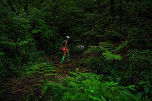 BIB: 
                            <button type="button" onclick="openModal(19368712)" class="btn btn-primary btn-sm float-right btn-popup" data-toggle="modal" data-target=".modal-high-quality">
                        <i class="fas fa-shopping-cart"></i> Add to Cart
                    </button>
                                            <button type="button" onclick="isThisMe(19368712, true)" class="btn btn-success btn-sm float-right btn-popup btn-isme hidden" data-toggle="tooltip" data-placement="bottom" title="นี่คือรูปของคุณใช่ไหม คลิกที่นี่เพื่อเอาเข้าอัลบั้ม">
                        <i class="fas fa-plus"></i> Add to album
                    </button>
                    <button type="button" onclick="isThisMe(19368712, false)" class="btn btn-warning btn-sm float-right btn-popup btn-isnotme hidden">
                        <i class="fas fa-ban"></i> Remove from album
                    </button>