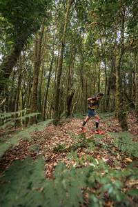 BIB: 
                            <button type="button" onclick="openModal(19367502)" class="btn btn-primary btn-sm float-right btn-popup" data-toggle="modal" data-target=".modal-high-quality">
                        <i class="fas fa-shopping-cart"></i> Add to Cart
                    </button>
                                            <button type="button" onclick="isThisMe(19367502, true)" class="btn btn-success btn-sm float-right btn-popup btn-isme hidden" data-toggle="tooltip" data-placement="bottom" title="นี่คือรูปของคุณใช่ไหม คลิกที่นี่เพื่อเอาเข้าอัลบั้ม">
                        <i class="fas fa-plus"></i> Add to album
                    </button>
                    <button type="button" onclick="isThisMe(19367502, false)" class="btn btn-warning btn-sm float-right btn-popup btn-isnotme hidden">
                        <i class="fas fa-ban"></i> Remove from album
                    </button>